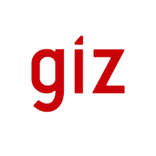 Logo with the word 'giz' in lowercase, red letters on a white background.